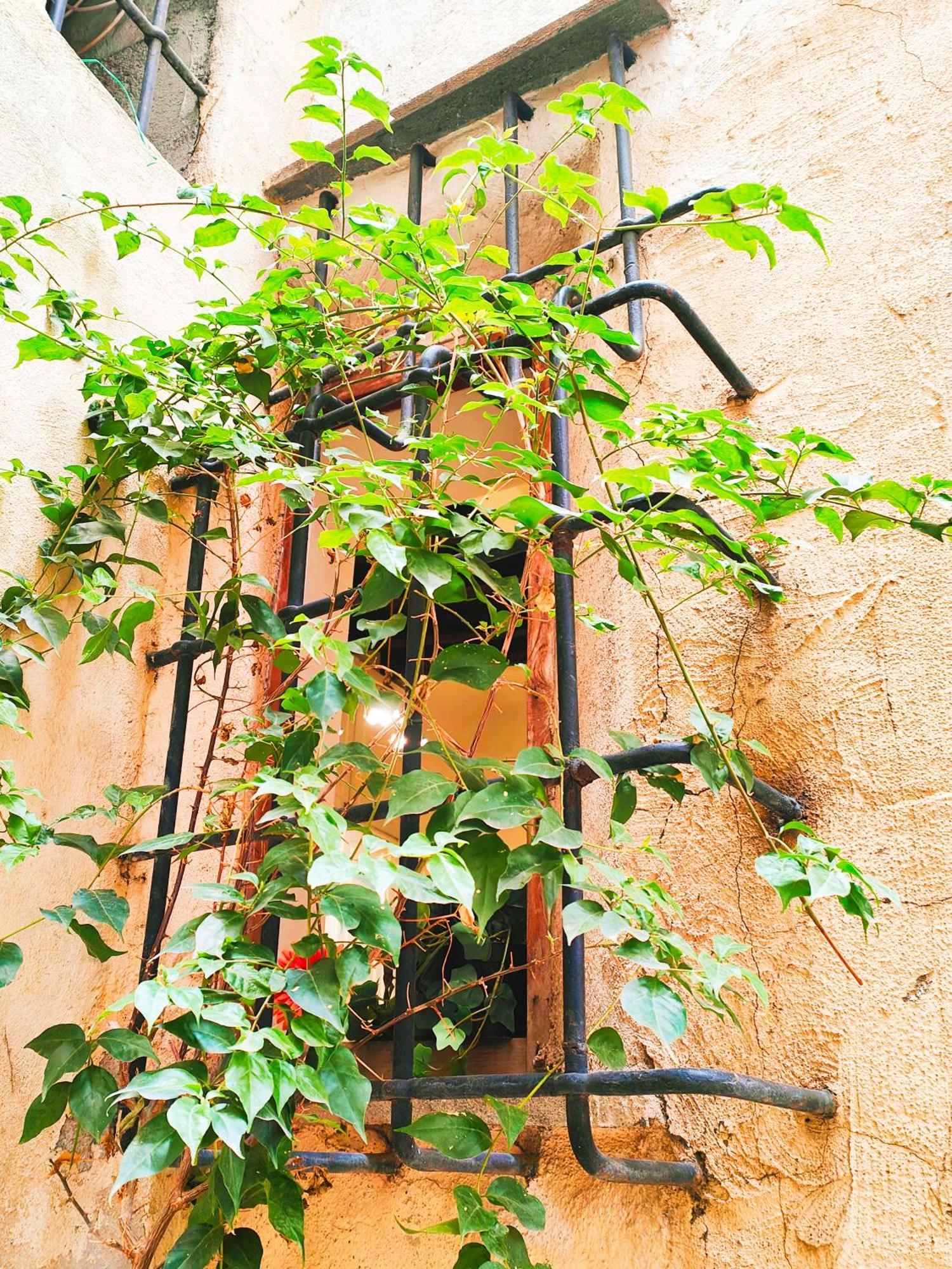 Diva Dependance Navona Rom